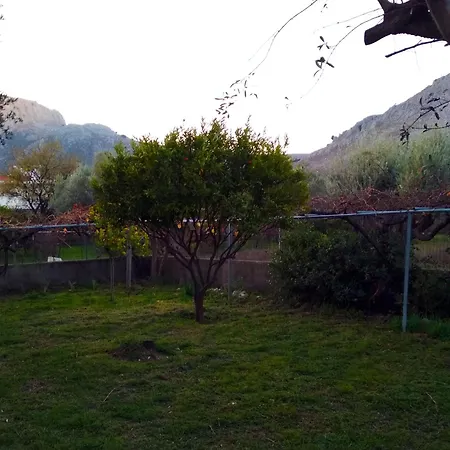 George Rhodes * Архангелос